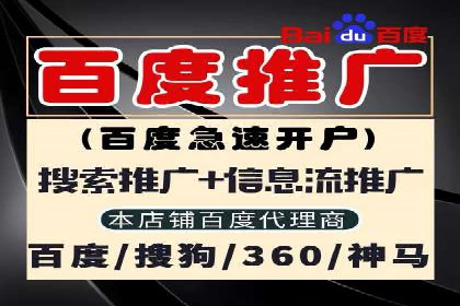 百度竞价排名案例分析：提升网站流量与转化率